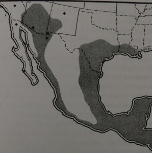 Historical range (shaded) of Jaguar in the US Southwest. From R. Valdez (2000) \